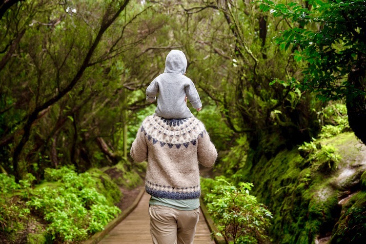 child sitting on adult's shoulder during stroll through wooded area